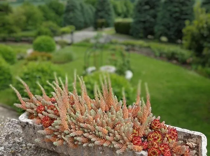 La Palazzina B&B Agazzano