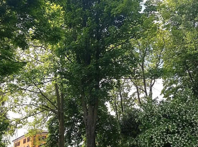 La Palazzina * Agazzano