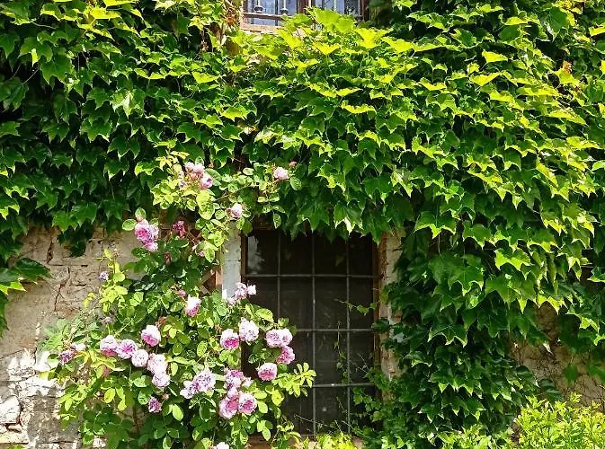 La Palazzina * Agazzano