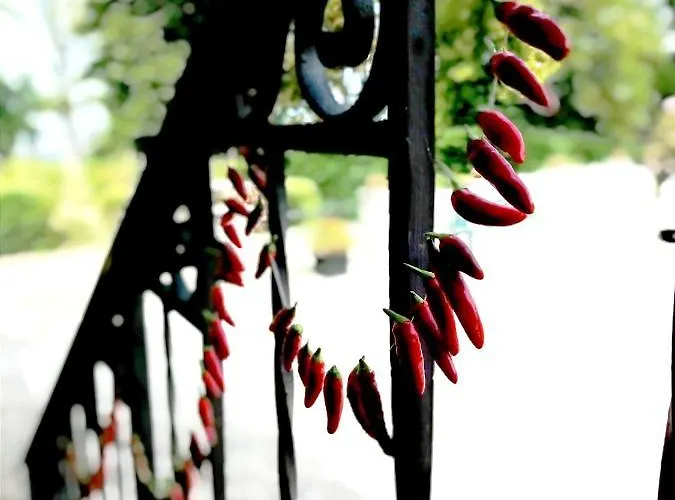 La Palazzina B&B Agazzano