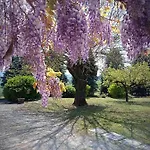 La Palazzina *