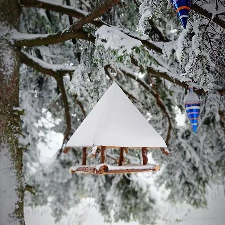 La Palazzina Couette-café *