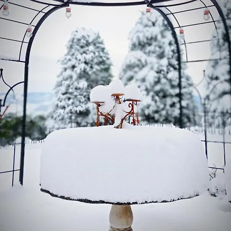 La Palazzina Couette-café