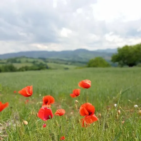 Couette-café La Palazzina *