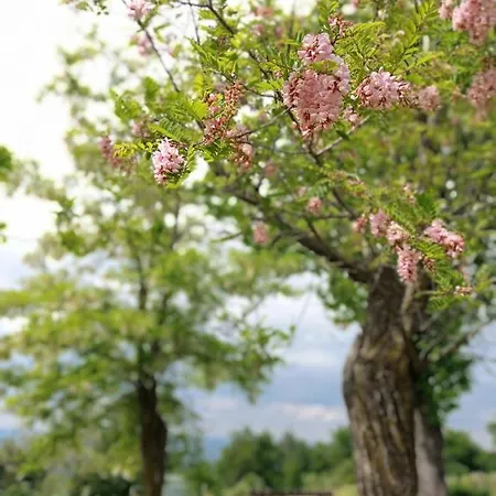 Couette-café La Palazzina