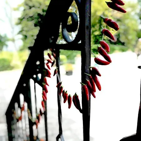 La Palazzina Bed & Breakfast Agazzano