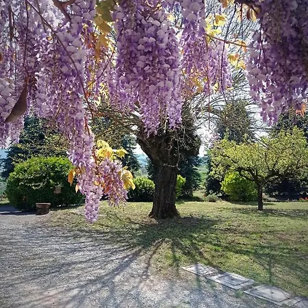 La Palazzina *