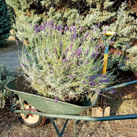 La Palazzina Bed and breakfast *