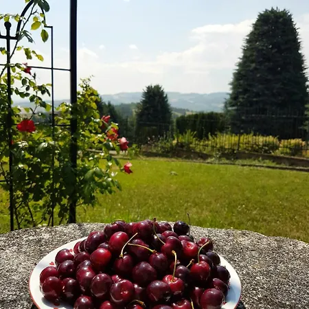 La Palazzina Bed and breakfast Agazzano
