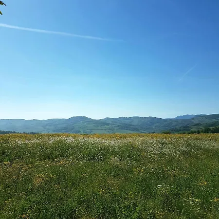 La Palazzina Bed and breakfast *