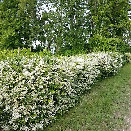 Bed and breakfast La Palazzina