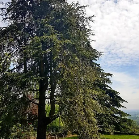 La Palazzina