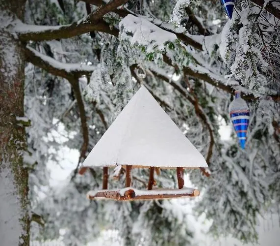 La Palazzina Bed & Breakfast *