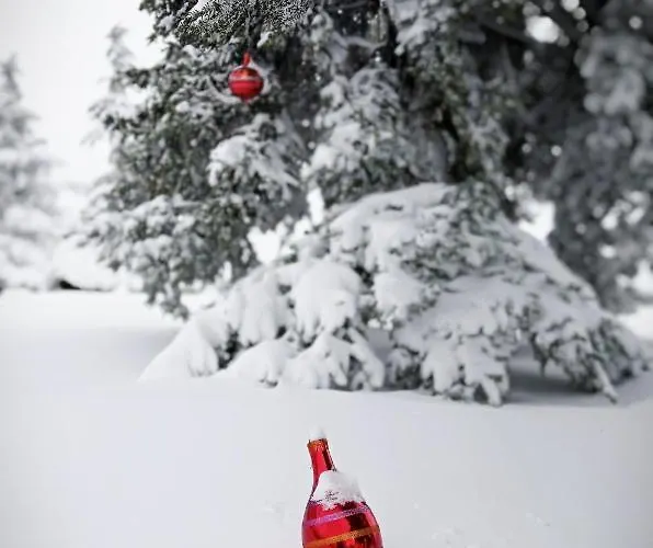 Bed & Breakfast La Palazzina