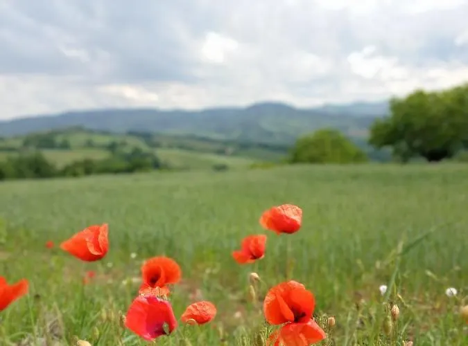 Bed & Breakfast La Palazzina *