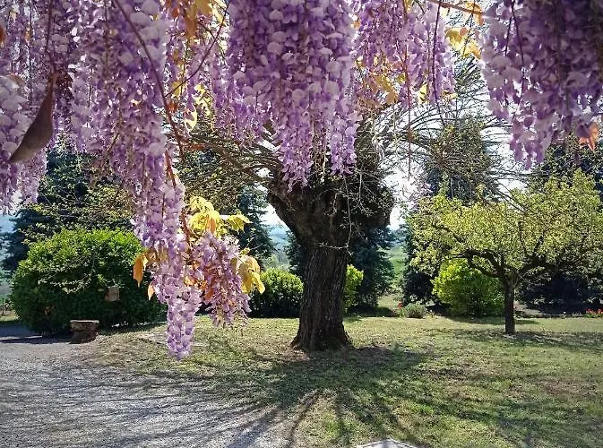 La Palazzina *