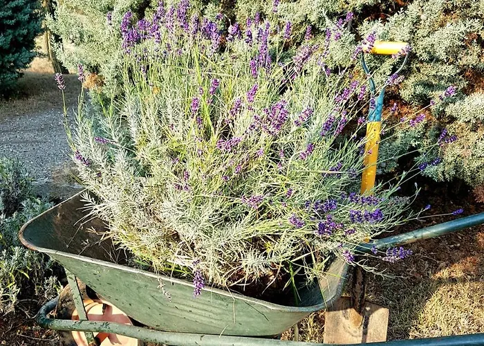 La Palazzina Bed & Breakfast *