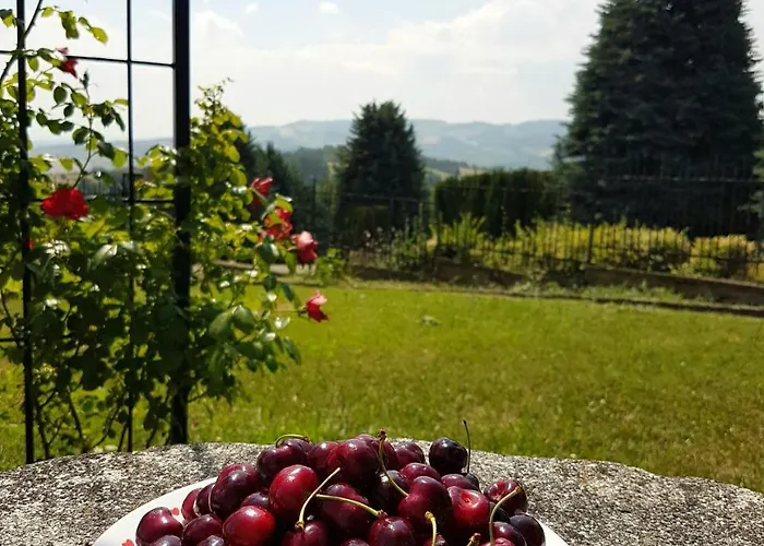 La Palazzina Bed & Breakfast Agazzano