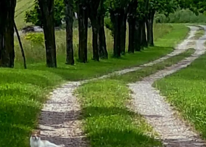 La Palazzina Bed & Breakfast Agazzano