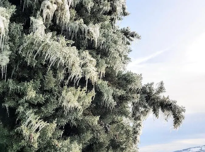 La Palazzina Bed & Breakfast